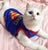 Funny cat costume: Pirate, Sailor, Nurse, Cowboy, Policeman, Doctor, Superman