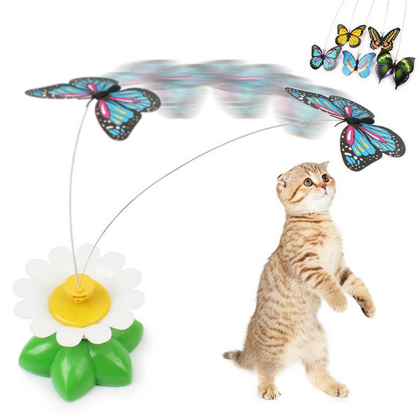 Self play cat toy with automatic movement